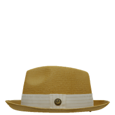 fedora hat input